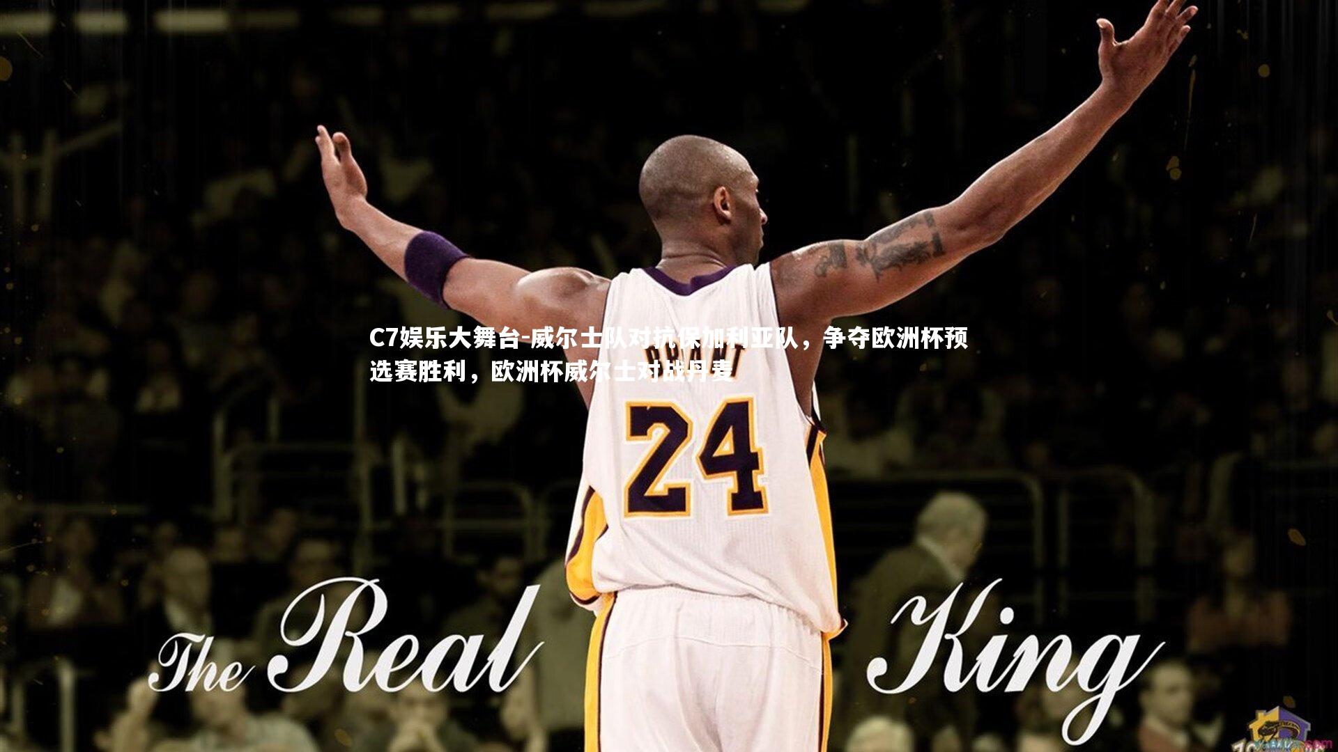 威尔士队对抗保加利亚队，争夺欧洲杯预选赛胜利，欧洲杯威尔士对战丹麦